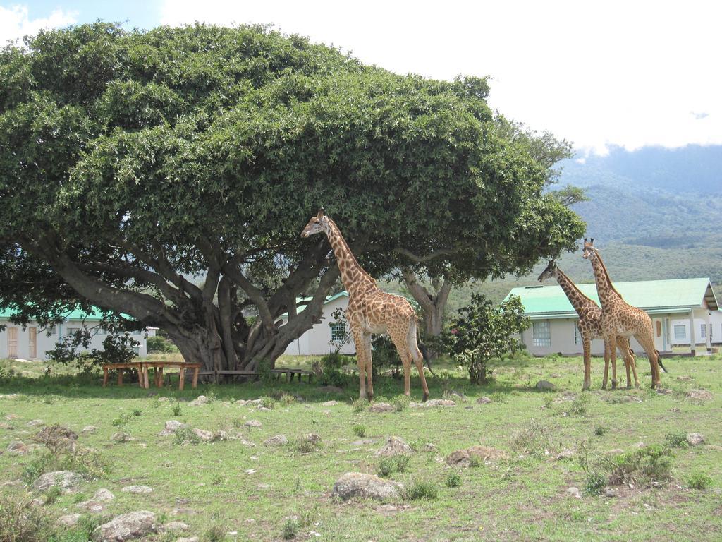 Nature Homes - Africa Amini Life Nkoanrua Exteriör bild