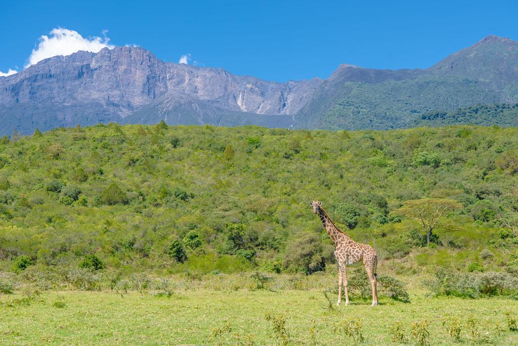 Nature Homes - Africa Amini Life Nkoanrua Exteriör bild
