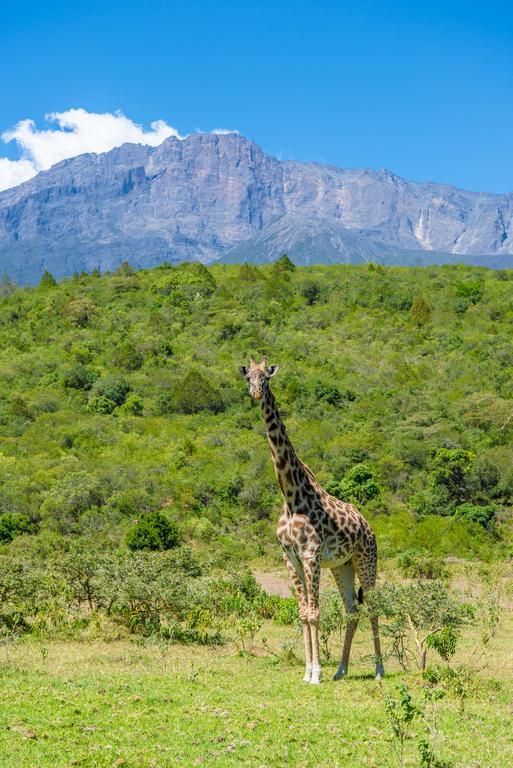 Nature Homes - Africa Amini Life Nkoanrua Exteriör bild