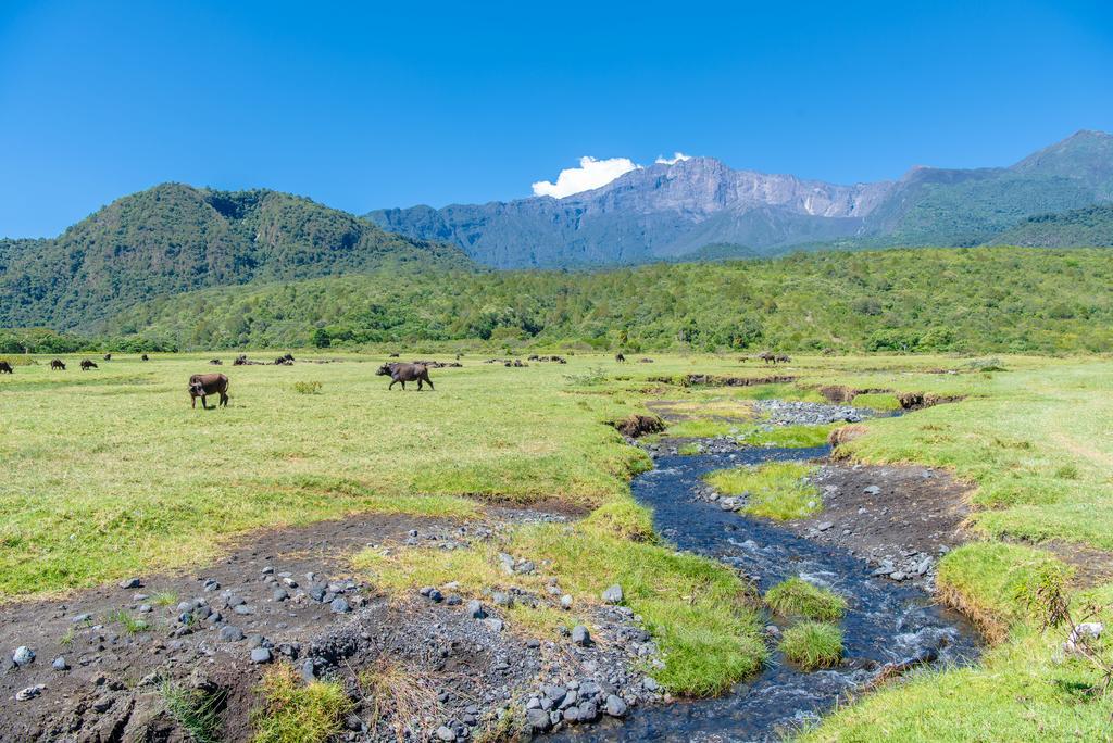 Nature Homes - Africa Amini Life Nkoanrua Exteriör bild